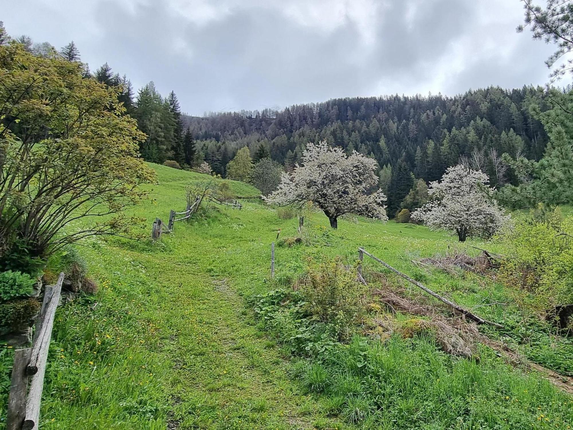 Vila Ferienhaus Wolf Tobadill Exteriér fotografie